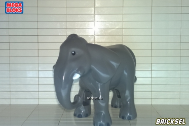 Индийский слон темно-серый (лопоухий)