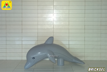 Дельфин серый