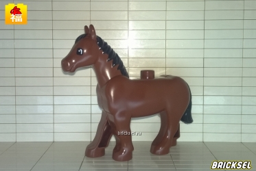 Лошадь с черной гривой коричневая