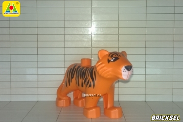 Тигр оранжевый