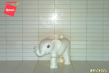 Слоненок белый